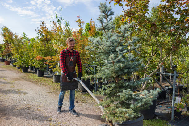 Tree Service Company in Plymouth, WI